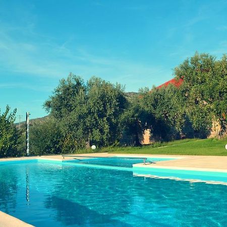 Quinta Do Quinto Hotell Porto da Carne Eksteriør bilde
